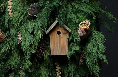 Het Grote Vogelweekend nestkast