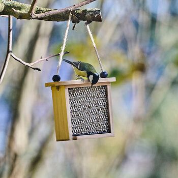 112180119_CJ_Vegan_Suet_Pellets_1kg_JD_03_1_