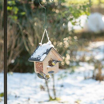 304000421-National_Trust_Jupiter_Slate_Peanut_Feeder_-_QM-5963