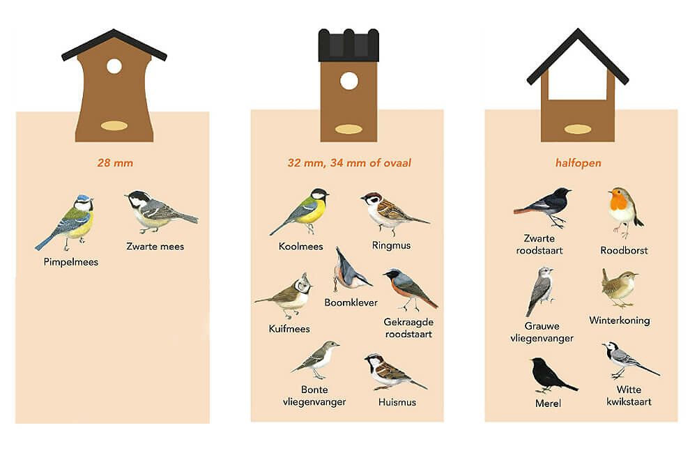 infographic_welke_nestkast_2023