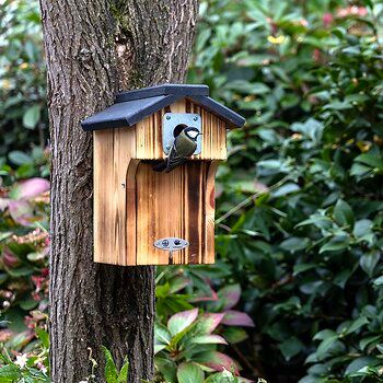 909810125_909820125_909830125_NP_Denton_28_32_34mm_RK_21