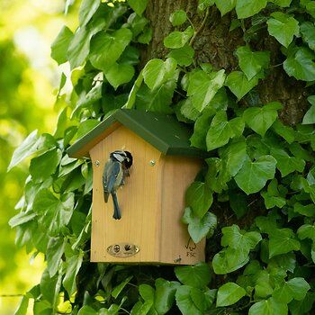 905340125_-_NP_Nestkast_Portland_28mm_QM-4897