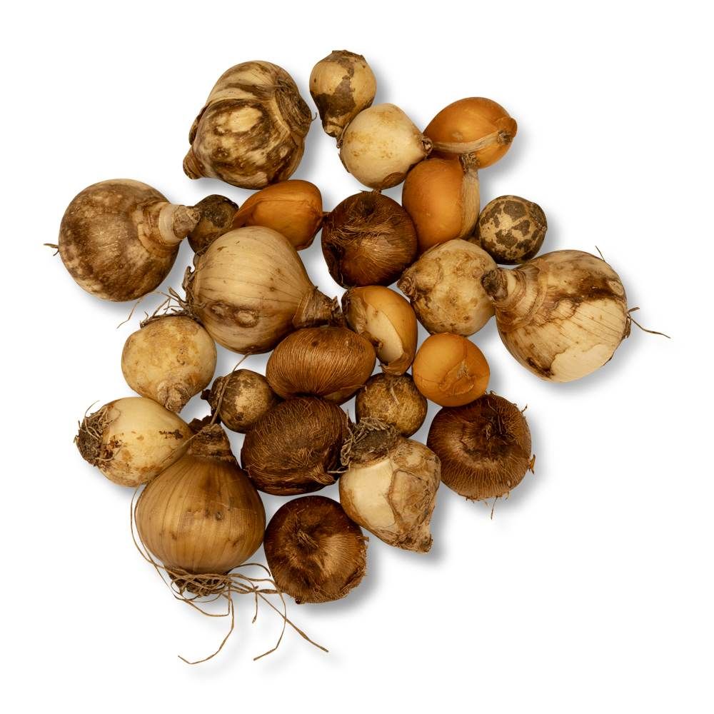 821760119_Biologische_Bollenmix_Kleine_Tuin_RK_06_1_