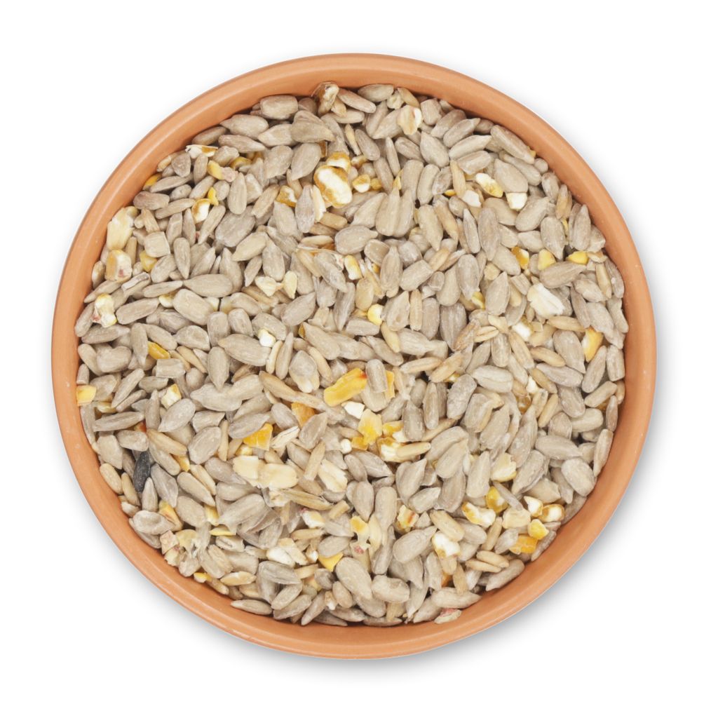 RECIPE_TSN-5_Bio_No_Mess_Seed_Mix_LG_01