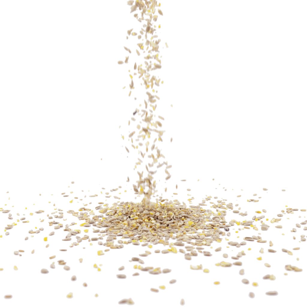 RECIPE_TSN-5_Bio_No_Mess_Seed_Mix_LG_08