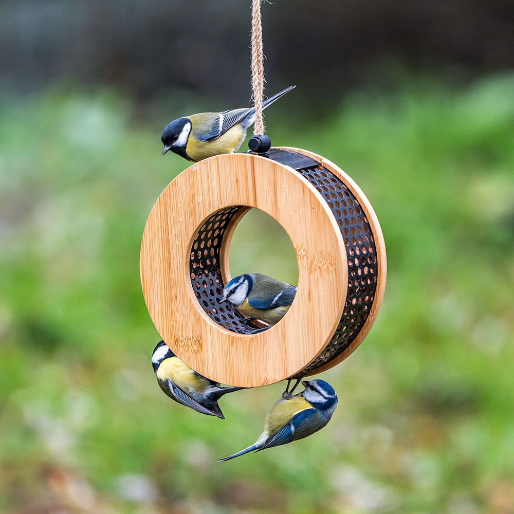 Pimpel- en koolmezen op voederhuisje