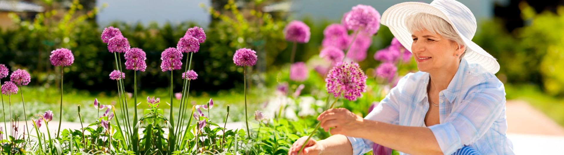 Biologische tuinplanten