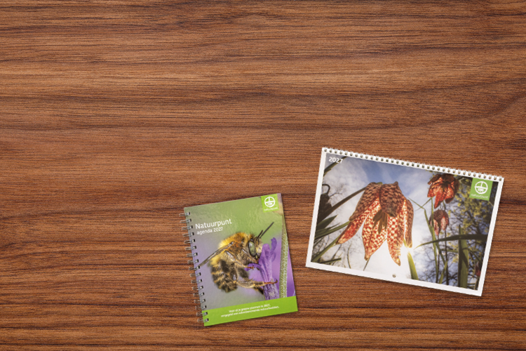 CD-2361_NP_VBN_homepage_banners_for_calendar_agenda_promotion_NP_Homepage_Mobile