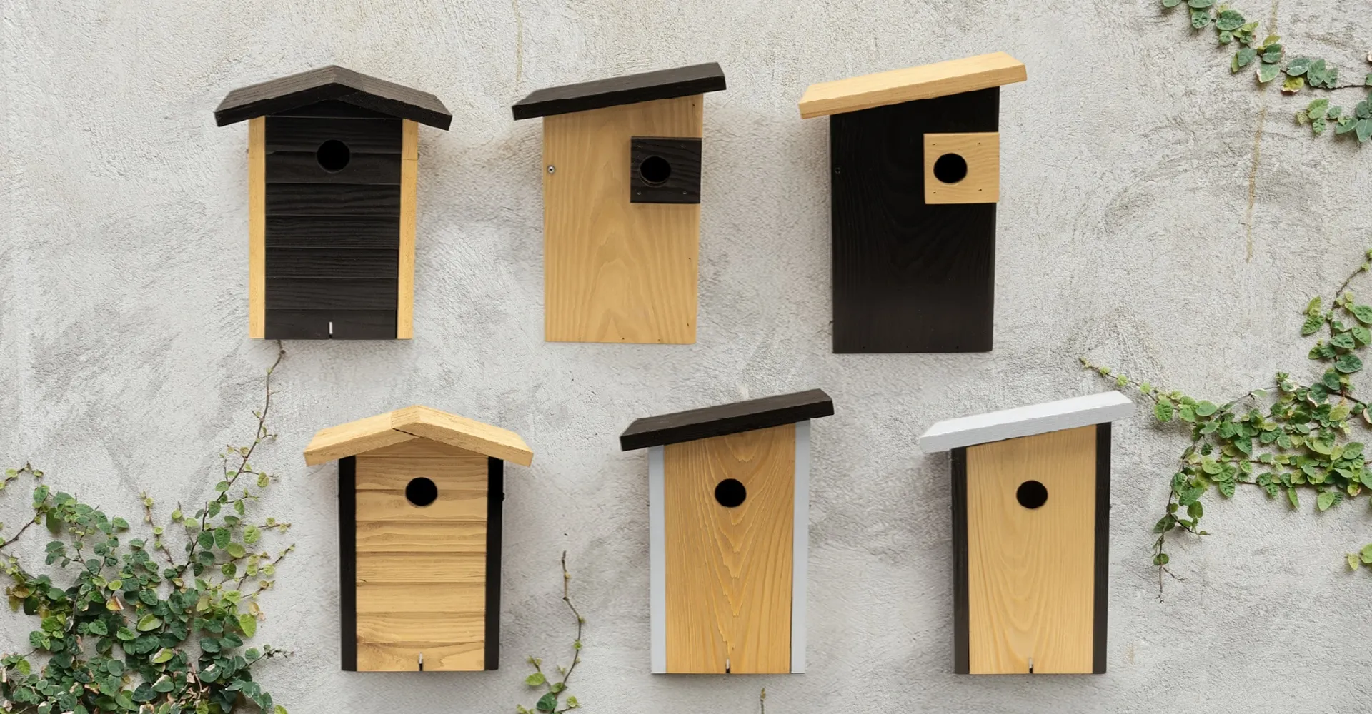 CD-2236_-_Alura_1920_x_1000