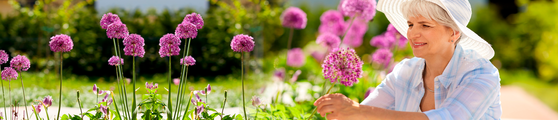 CD-1851_-_Organic_Plants_-_1900x525-1_new