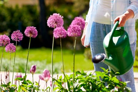 CD-1851_-_Organic_Plants_-_600x400-3