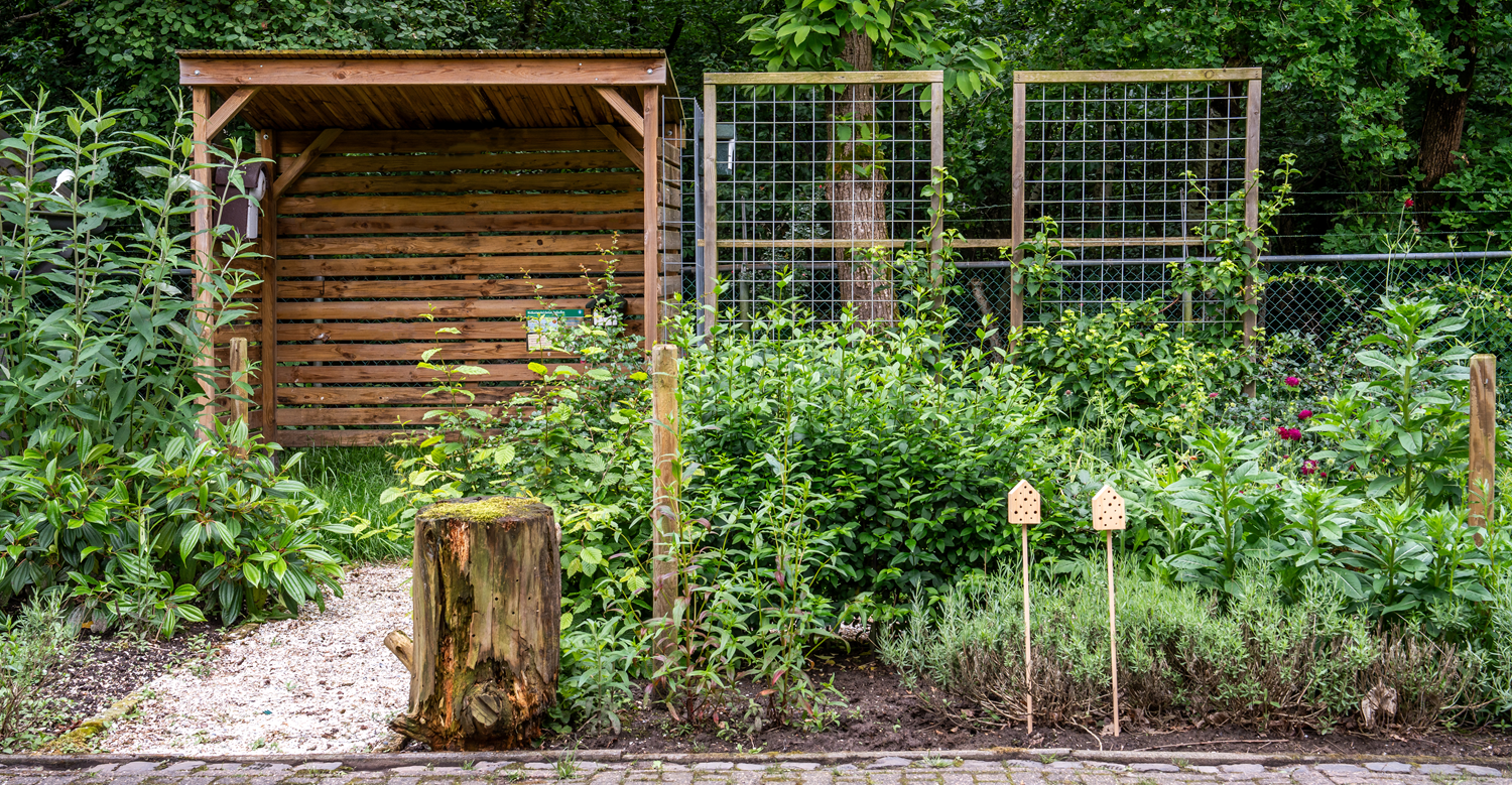Border met tuinplanten en insectenhotels