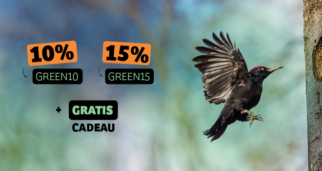 NP_Landingpage_Mobile