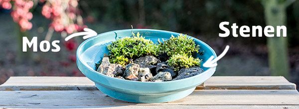 CD-798-NP-Newsletter-banner_2_