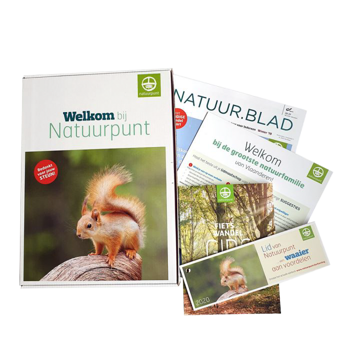 MicrosoftTeams-image