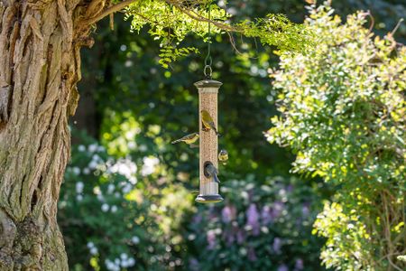 Vogels op een zadensilo