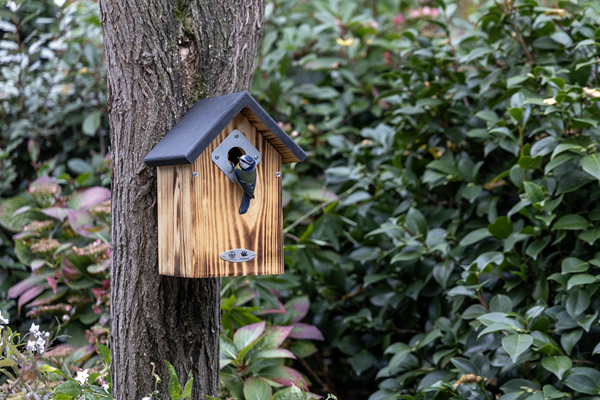 909780125_909790125_909800125_NP_El_Paso_28_32_34mm_RK_63_mobiel