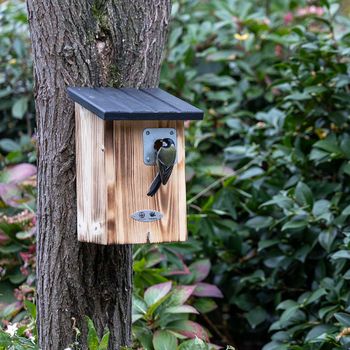 909840125_909850125_909860125_NP_Arlington_28_32_34mm_RK_06