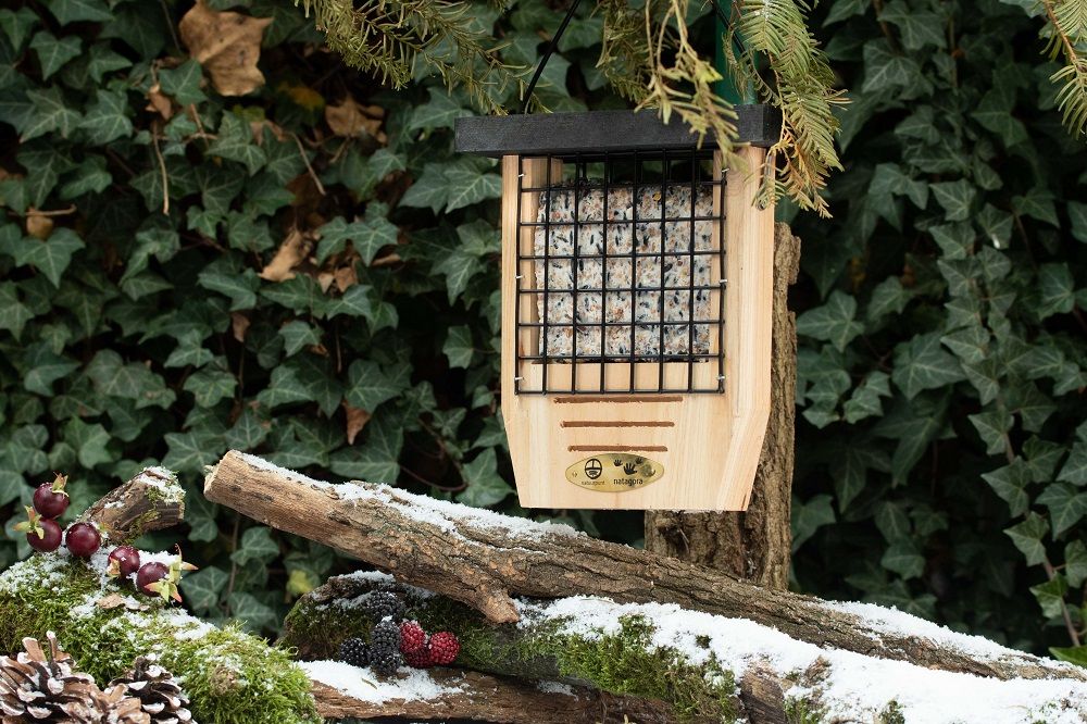 936170125-101150119-QM-8193