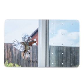 Raamstickers tegen vogelbotsingen 50m (SEEN Elements)
