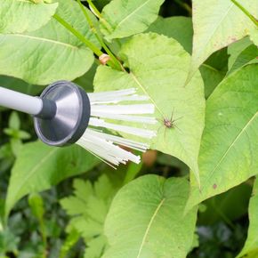 Insectenvanger Bug Away grijs met zwart