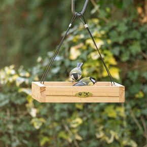 Hangende voedertafel Aarhus