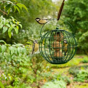 London Vetbollenhouder