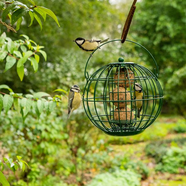 London Vetbollenhouder