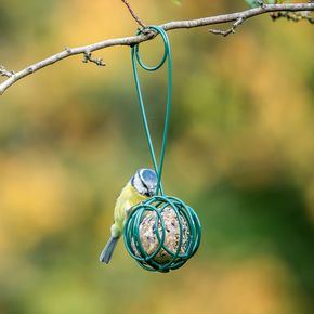 Vetbolhouder en -schep Lima