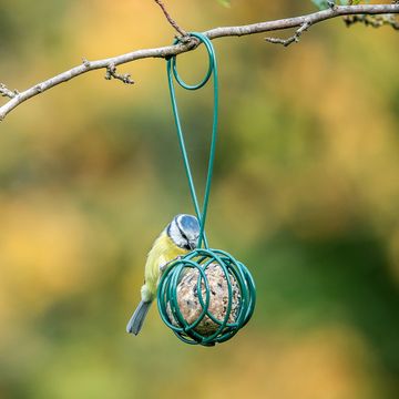 Vetbolhouder en -schep Lima