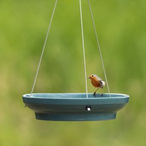 Waterschaal Vesi blauw