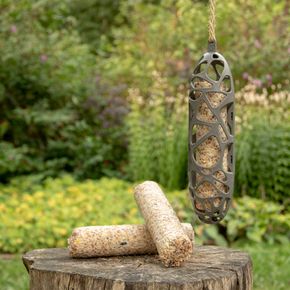 SingingFriend Sam Energierolpakket