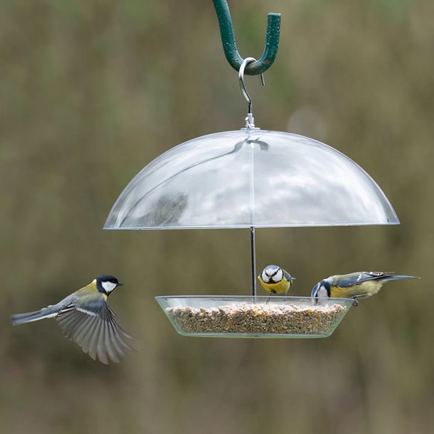 Hangende voedertafel Nantes