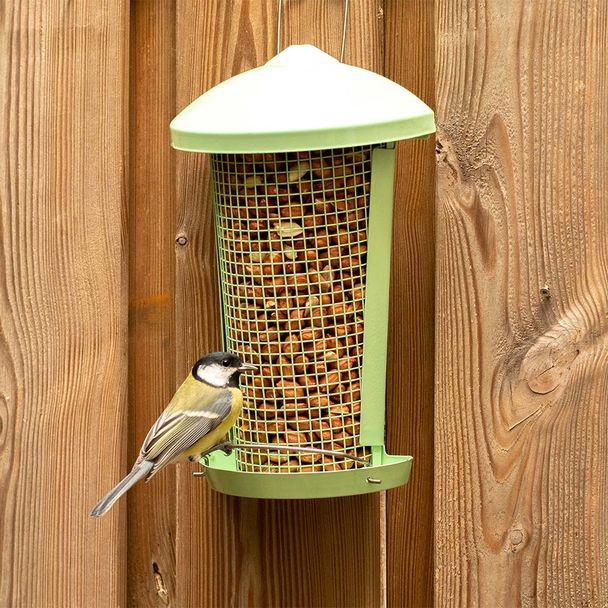 Pindasilo Hios mintgroen