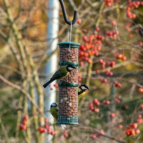 Plastic pindasilo groot