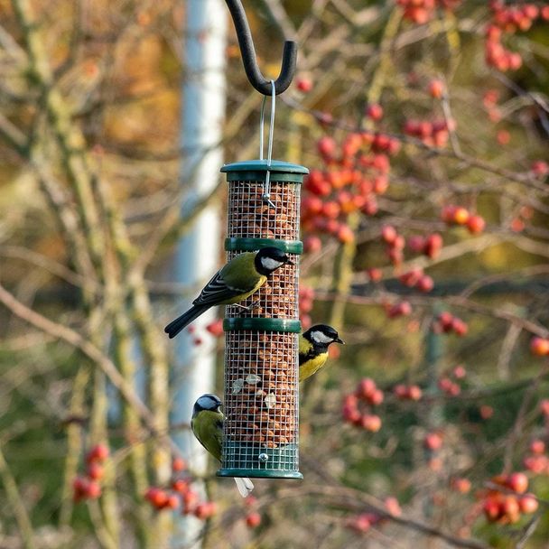 Plastic pindasilo groot