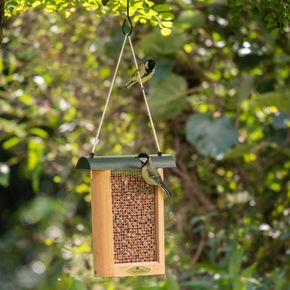 Pindavoederhuis Tulsa