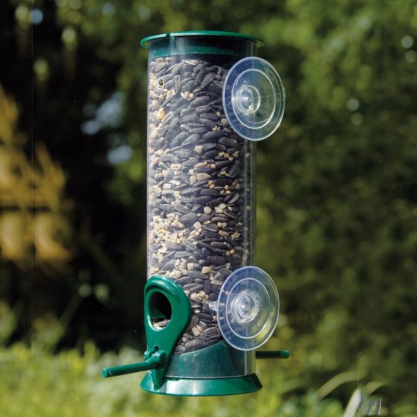 Discovery raamsilo zaden