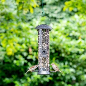 Adventurer voedersilo 40 cm