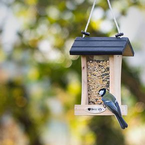 Voederhuis Cleveland