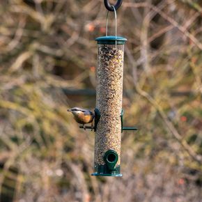 Beginnen met vogels voeren - pakket A