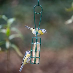 Energierolhouder en -schep Peru