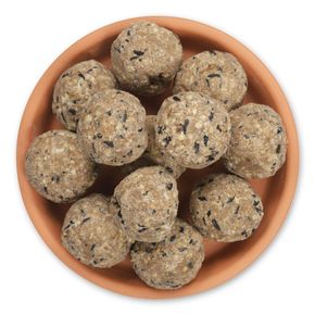 6 Vetbollen met Meelwormen