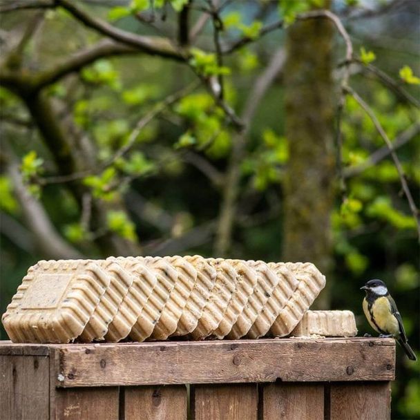 12 stuks - Premium vetblok variatiepakket