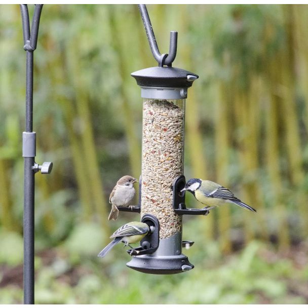 Beginnen met vogels voeren pakket B