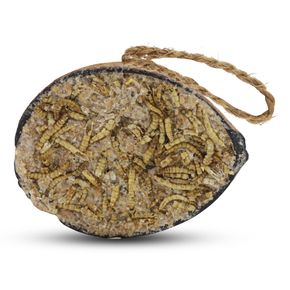 Halve kokosnoot met meelwormen