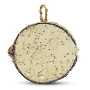 Halve gevulde kokosnoot meelworm-insecten