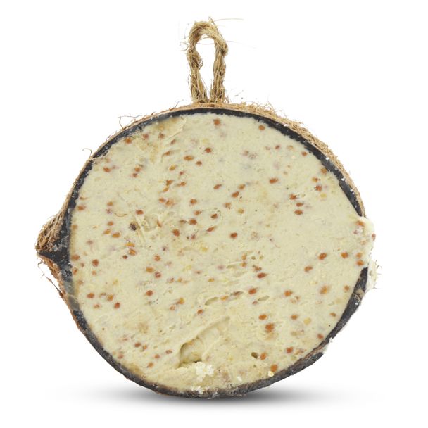 Halve gevulde kokosnoot meelworm-insecten