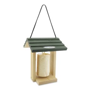 Pindacake met insecten