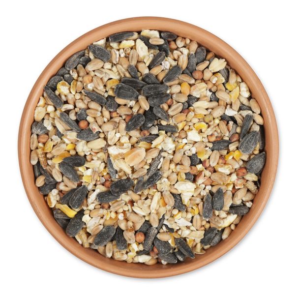 4-seizoenen strooivoer met meelwormen 2,5 kg